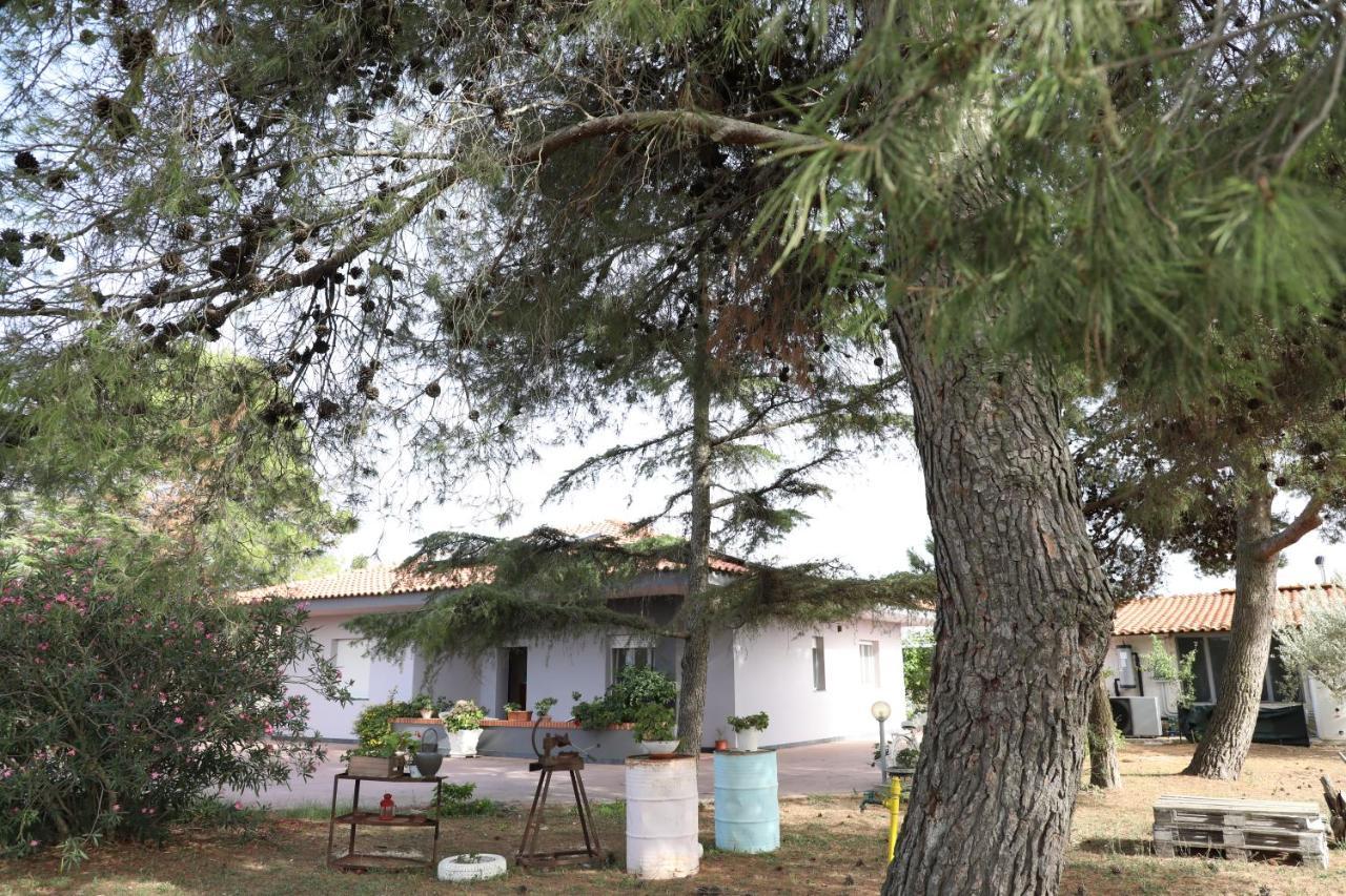 La Dimora Di Nonno Nuccio Hotel Ragusa Kültér fotó